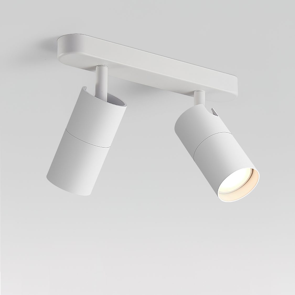 Track Dual Head Downlight