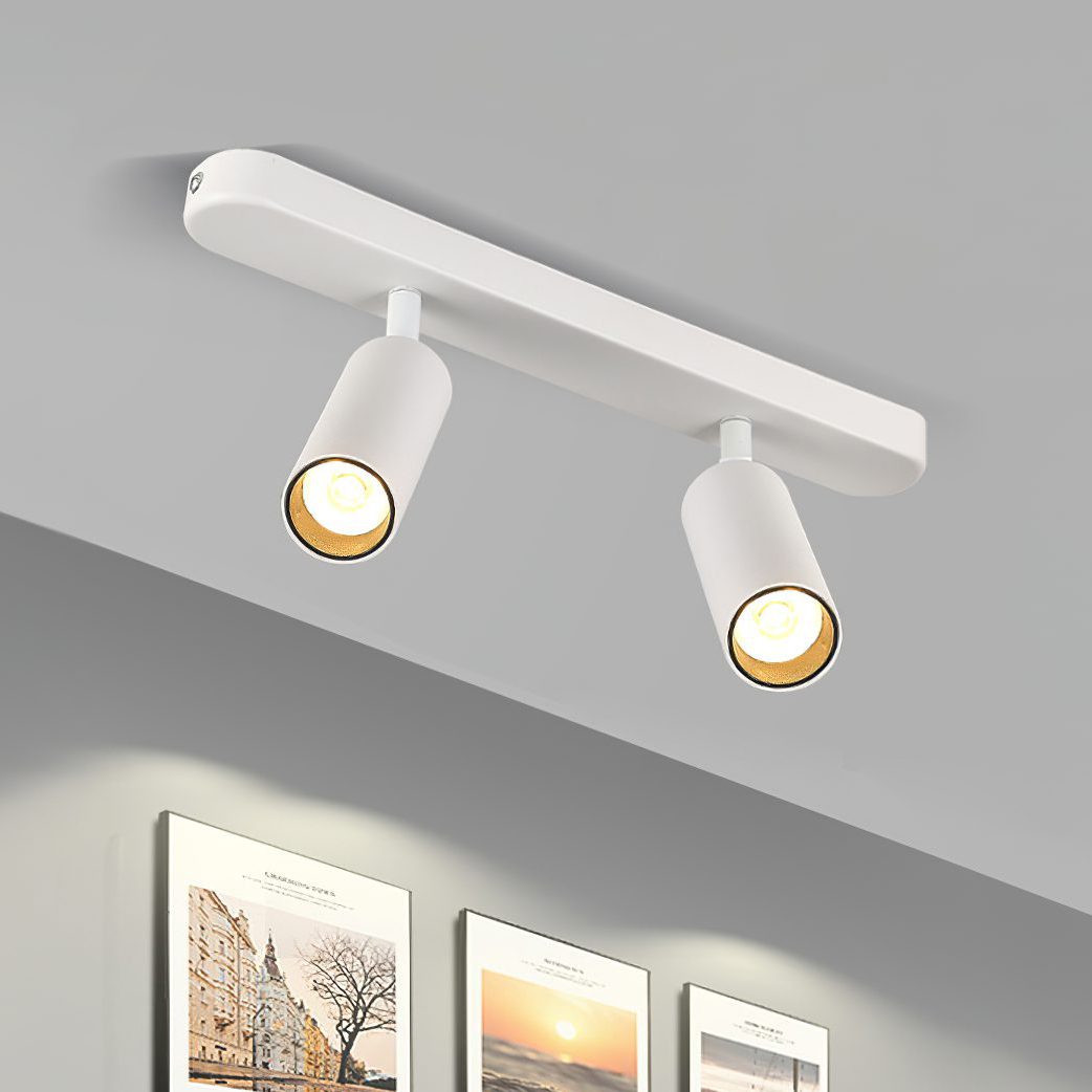 Track Dual Head Downlight