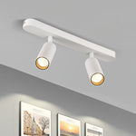 Track Dual Head Downlight