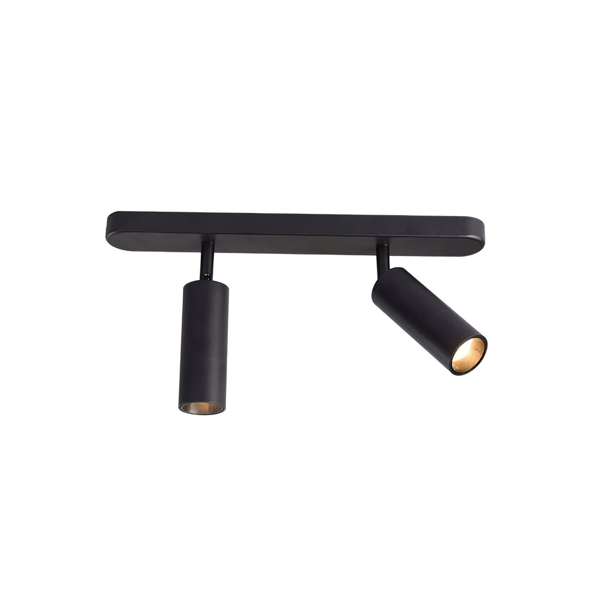 Track Dual Head Downlight