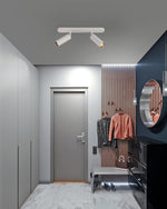 Track Dual Head Downlight