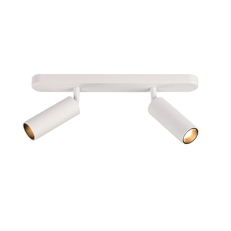 Track Dual Head Downlight