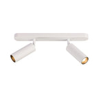 Track Dual Head Downlight