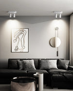 Track Dual Head Downlight