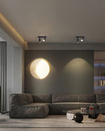 Track Dual Head Downlight