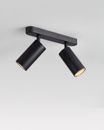 Track Dual Head Downlight