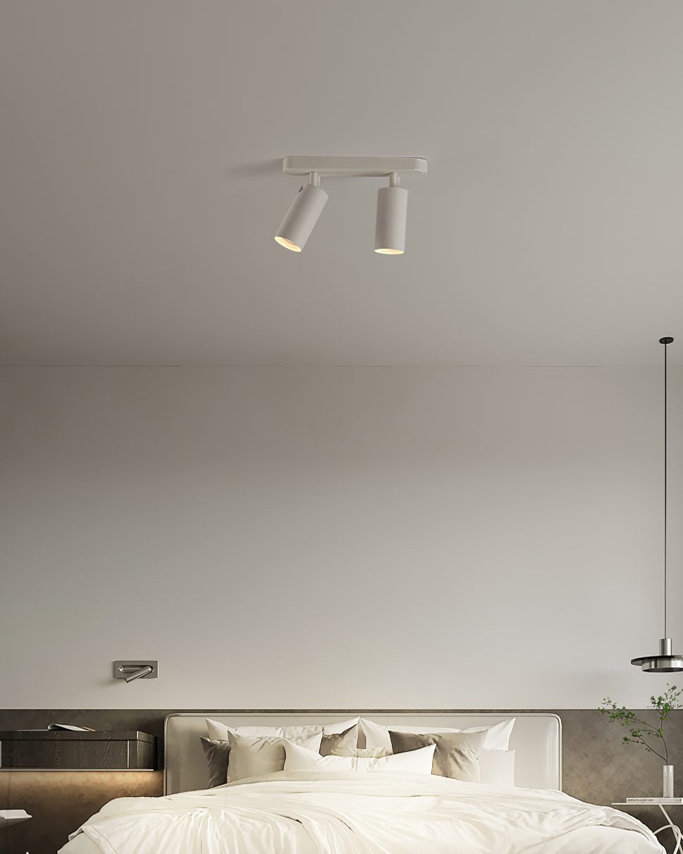 Track Dual Head Downlight