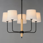 aspen-grove-chandelier