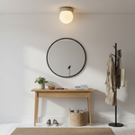 asteroid-ceiling-lamp