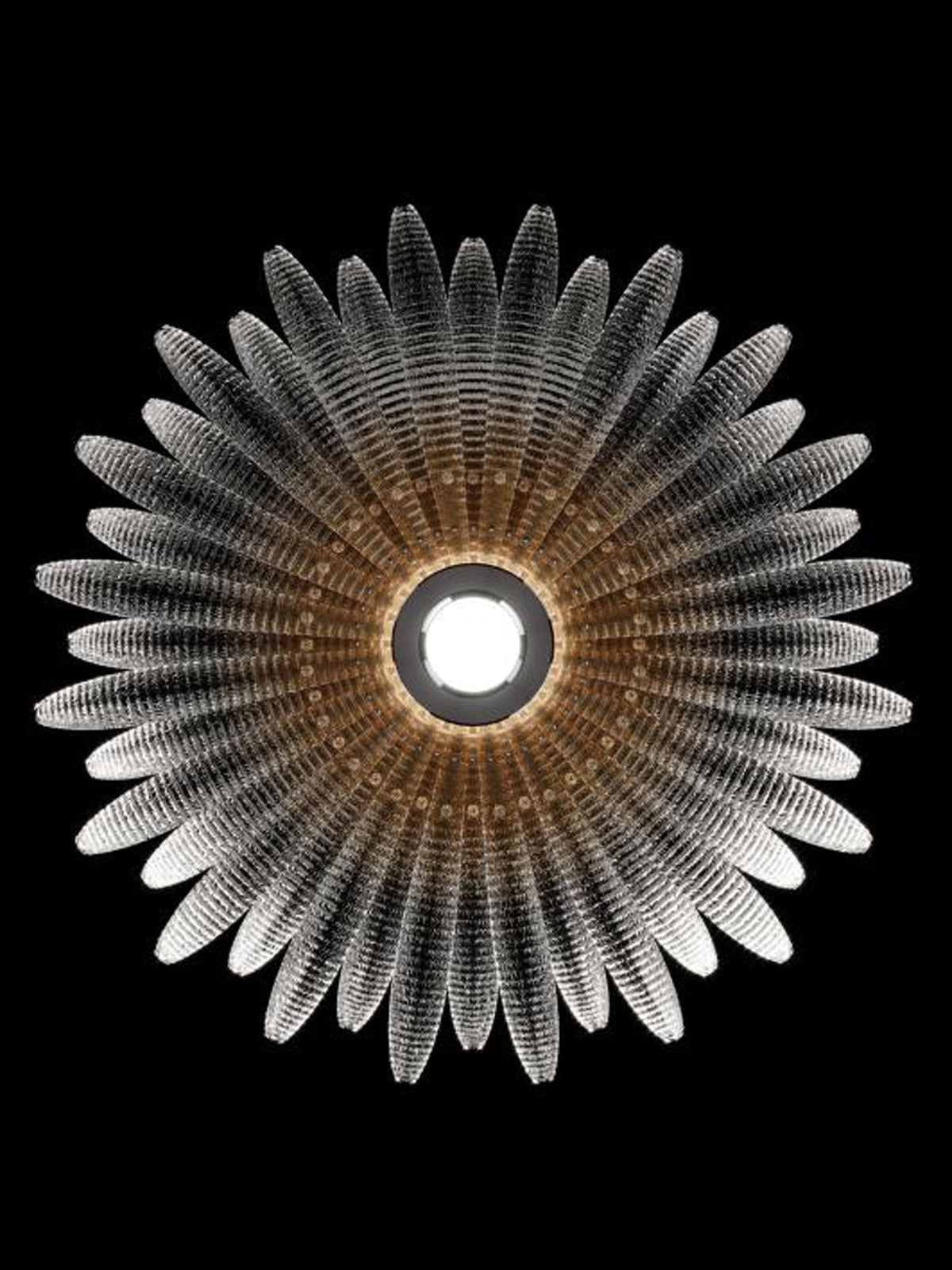 Aurelia Glass Petal Flush Mount Ceiling Light in Chrome
