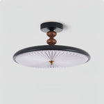 Aurelia Disc Ceiling Light — Modern LED Flush Mount in Black or Walnut