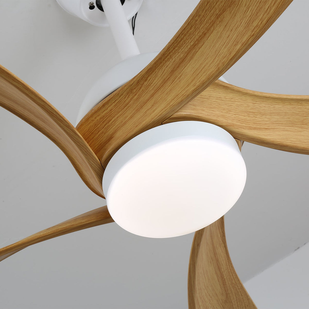 Avenli Ceiling Fan Light with LED and Wood Blades