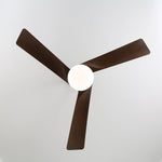 Averso Ceiling Fan Light with LED and Remote Control