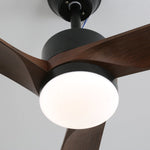 Averso Ceiling Fan Light with LED and Remote Control