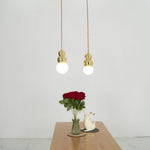 Ball light pendant light