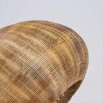 Bamboo Camden Pendant Light – Handwoven Coastal Ceiling Lamp for Dining & Living Spaces