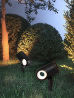 Beam Spike Adjustable Landscape Spotlight in Black Stainless Steel