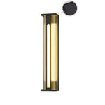 Bellamy Flair Outdoor Wall Sconce in Stainless Steel and Acrylic