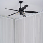 Glass Ball Ceiling Fan light