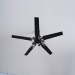 Glass Ball Ceiling Fan light