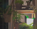 Blom Table Lamp