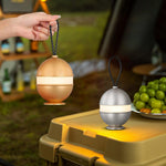 Bolleke Built In Battery Table Lamp