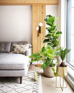 Bower Pendant Lamp