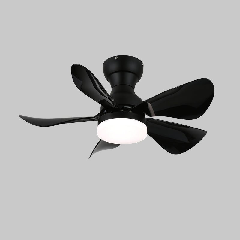 Arilia 29" LED Ceiling Fan Light with Walnut Blades