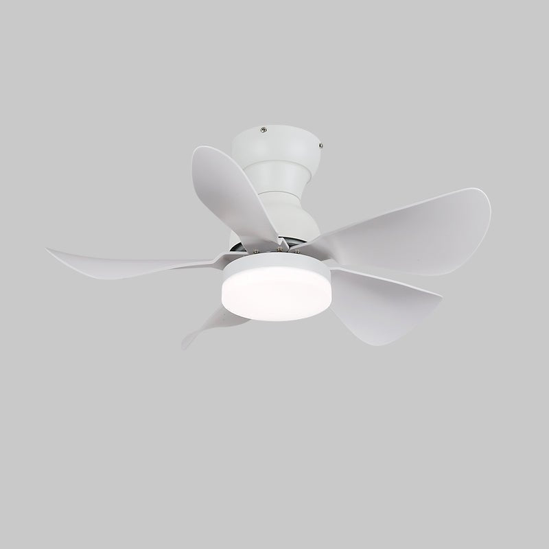 Arilia 29" LED Ceiling Fan Light with Walnut Blades