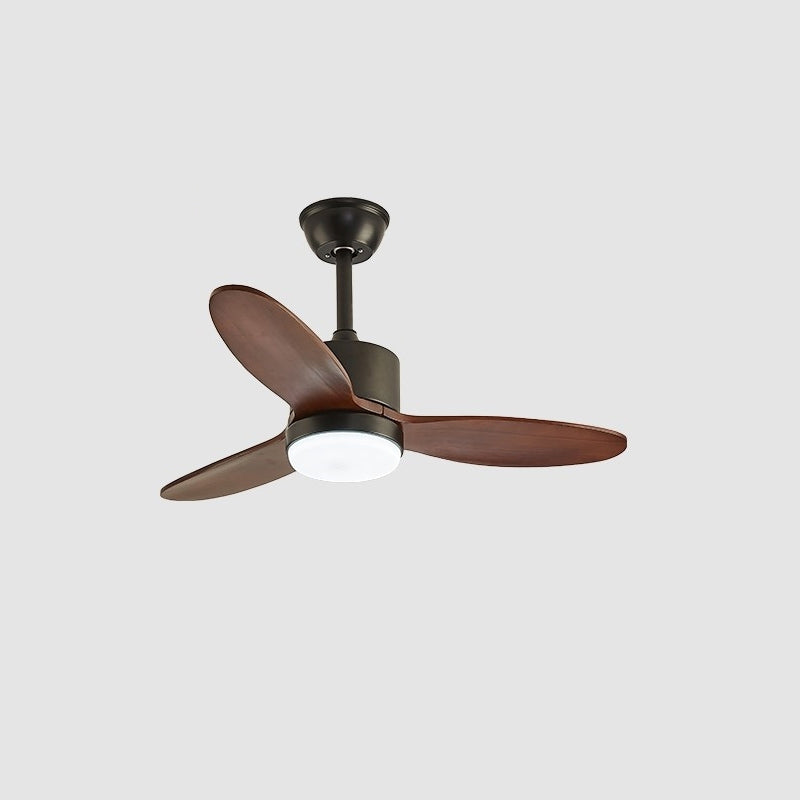 calisse-ceiling-fan-light