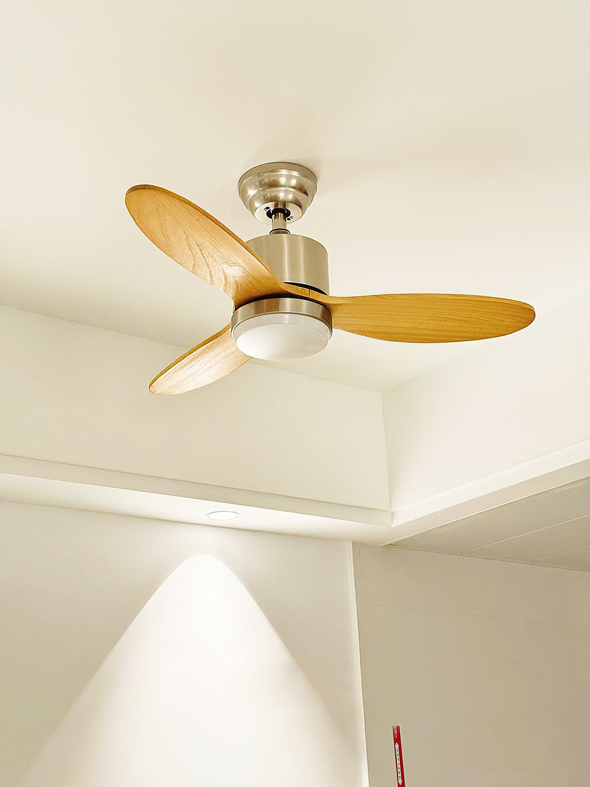 calisse-ceiling-fan-light
