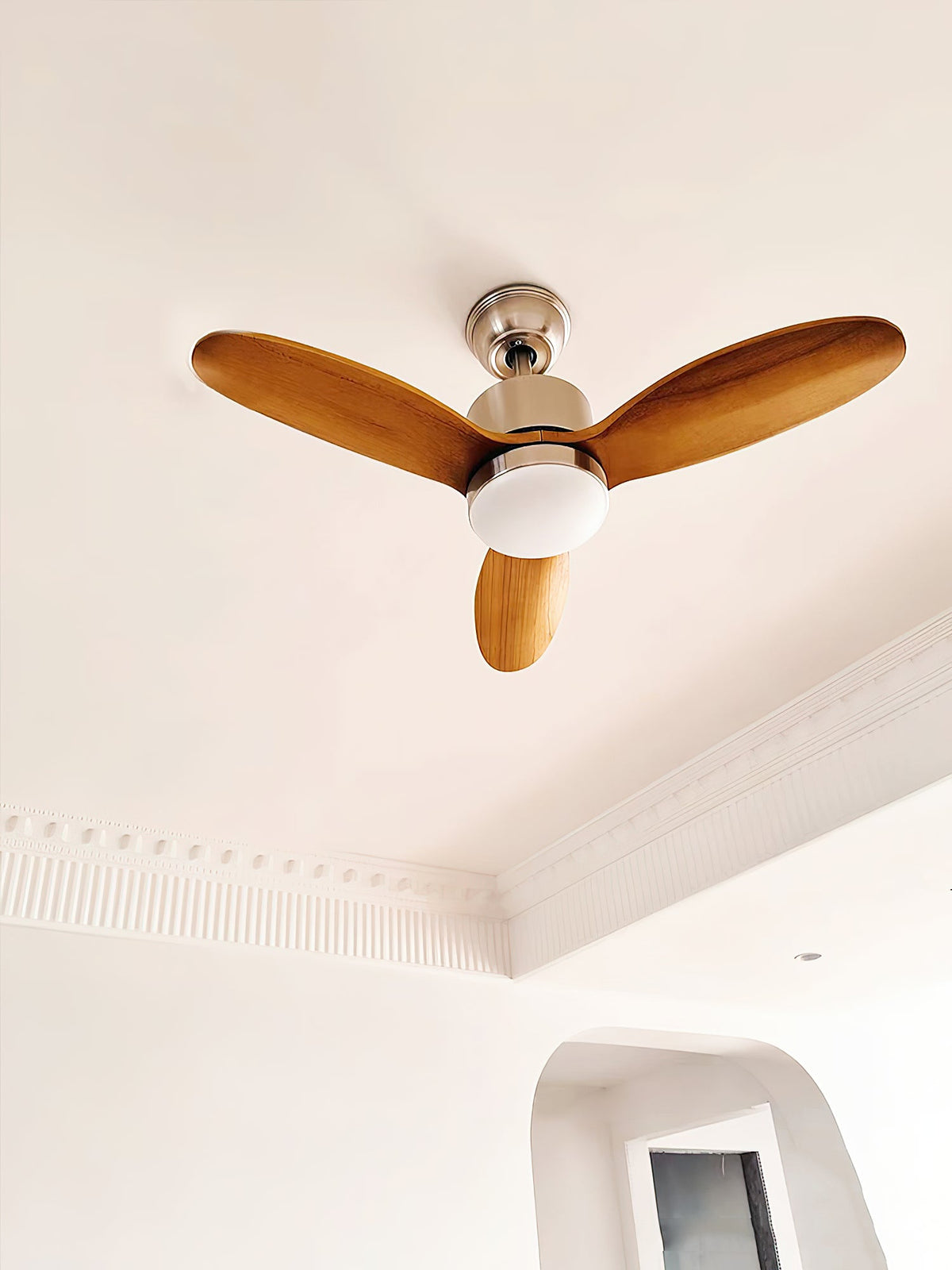 calisse-ceiling-fan-light