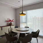 calyx-pendant-light