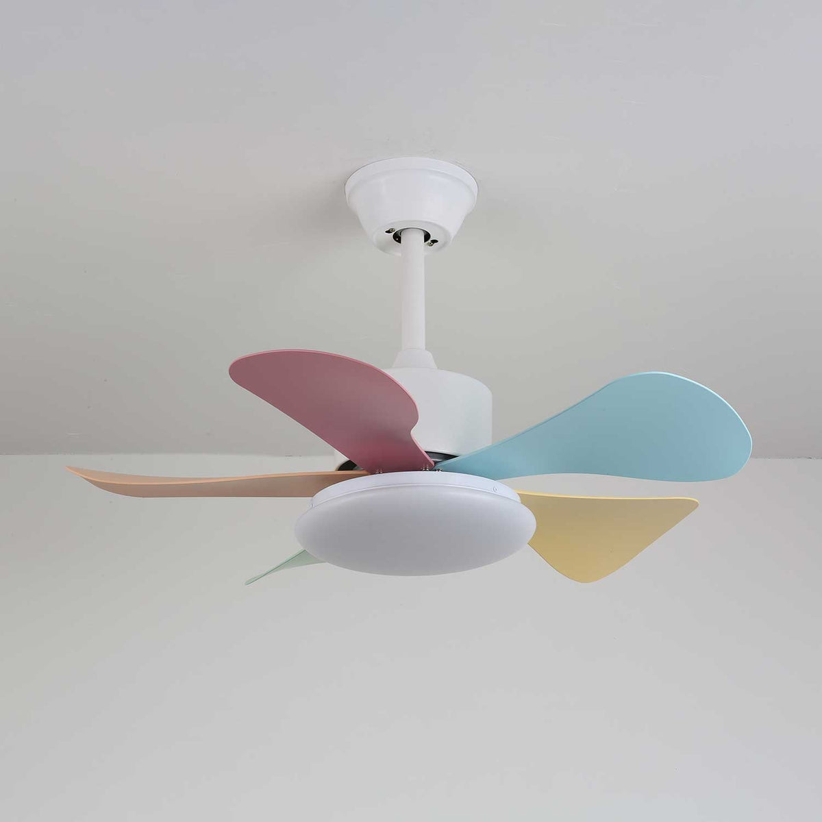 Candy Breeze Designer Ceiling Fan Light with Pastel Blades and Amber Glass Shade