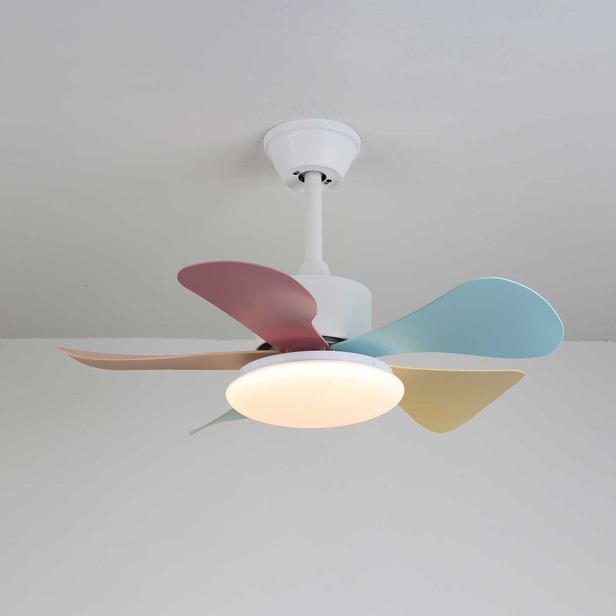 Candy Breeze Designer Ceiling Fan Light with Pastel Blades and Amber Glass Shade