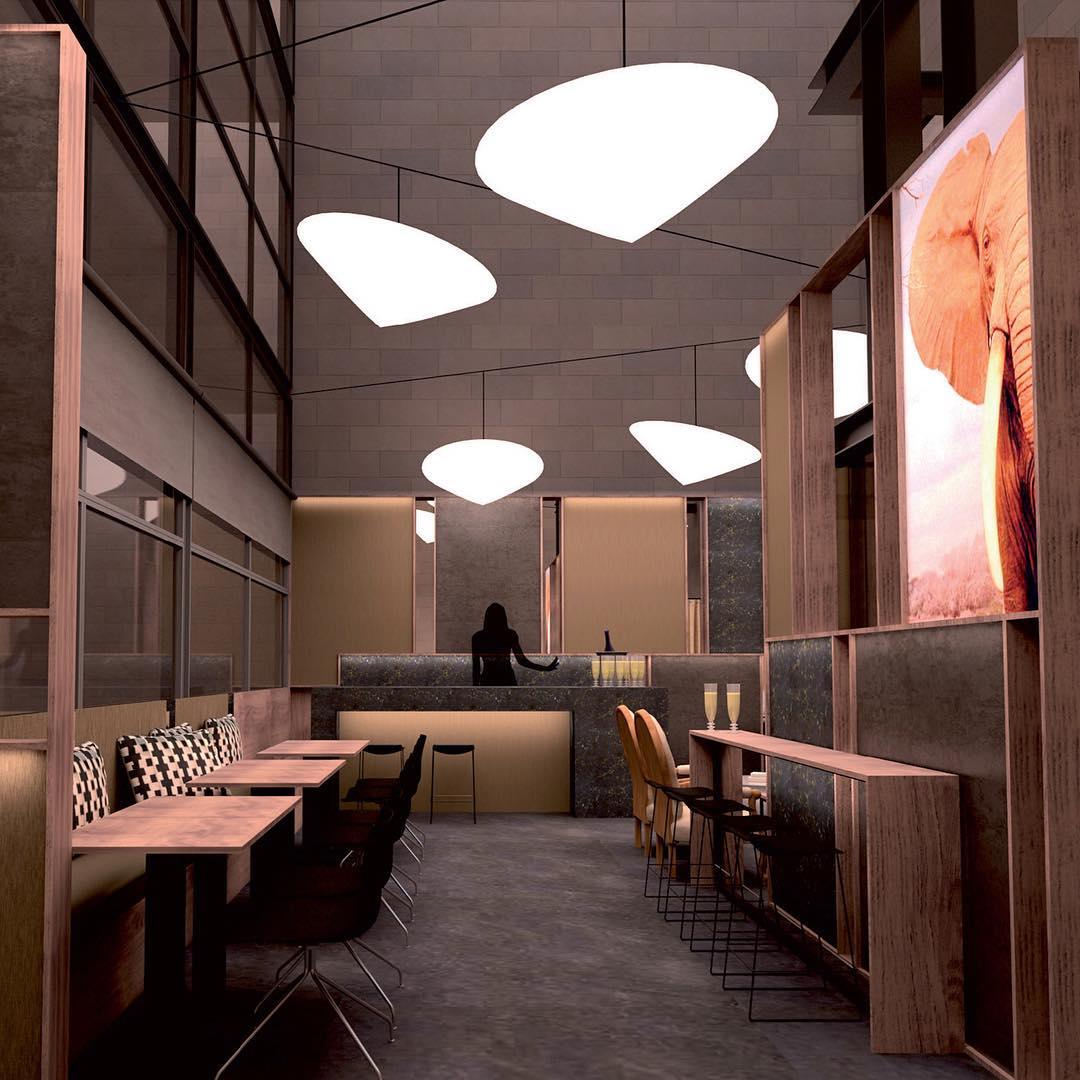 Cao Mao Pendant Light – Modern Designer LED Ceiling Lamp