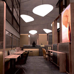 Cao Mao Pendant Light – Modern Designer LED Ceiling Lamp