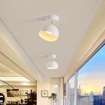 Carins Ceiling Light
