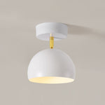Carins Ceiling Light