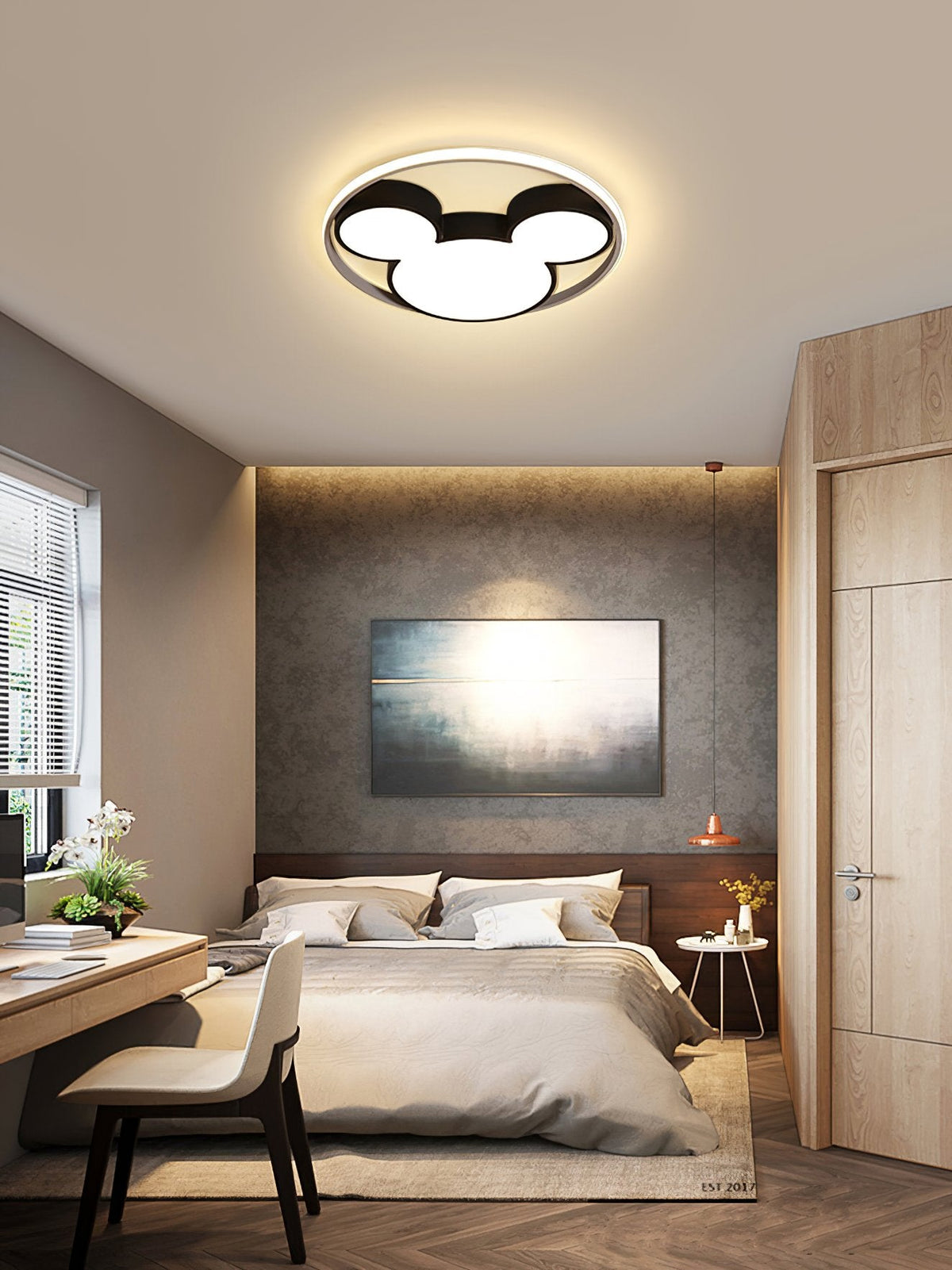 Cartoon Ceiling Lamp