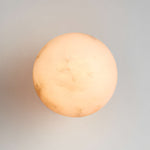 Celestial Double Alabaster Wall Sconce in Bronze