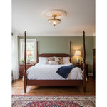 century-ceiling-lamp