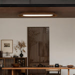 channel-ceiling-lamp