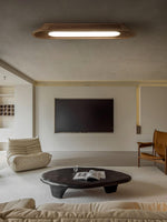 channel-ceiling-lamp