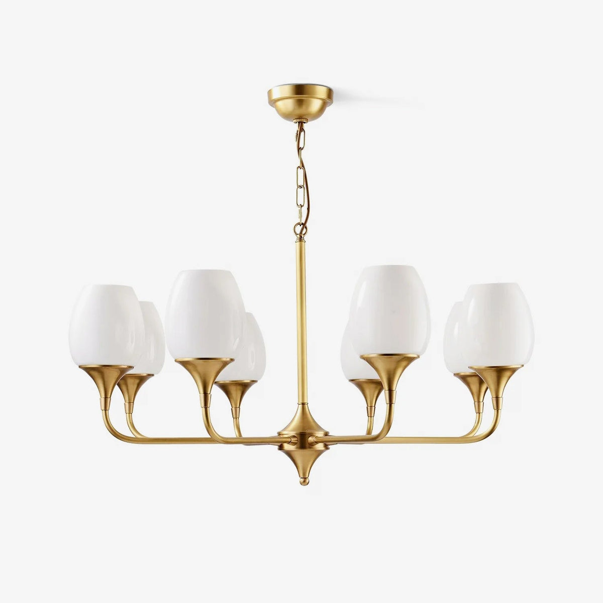 Charlie Eight-Light Brass Chandelier with Glass Shades for Dining and Living Rooms