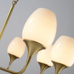Charlie Eight-Light Brass Chandelier with Glass Shades for Dining and Living Rooms