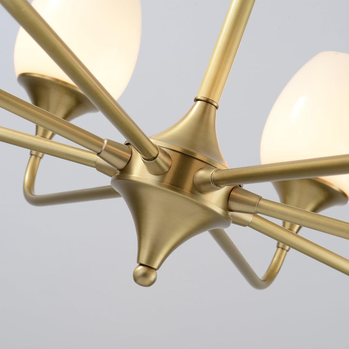 Charlie Eight-Light Brass Chandelier with Glass Shades for Dining and Living Rooms