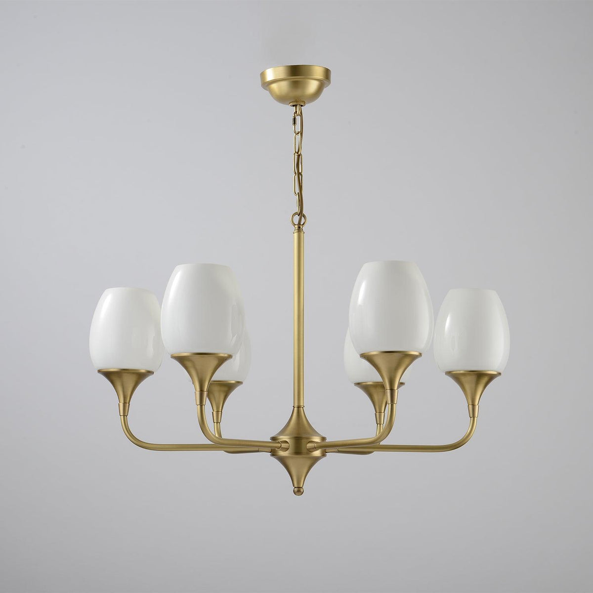 Charlie Eight-Light Brass Chandelier with Glass Shades for Dining and Living Rooms