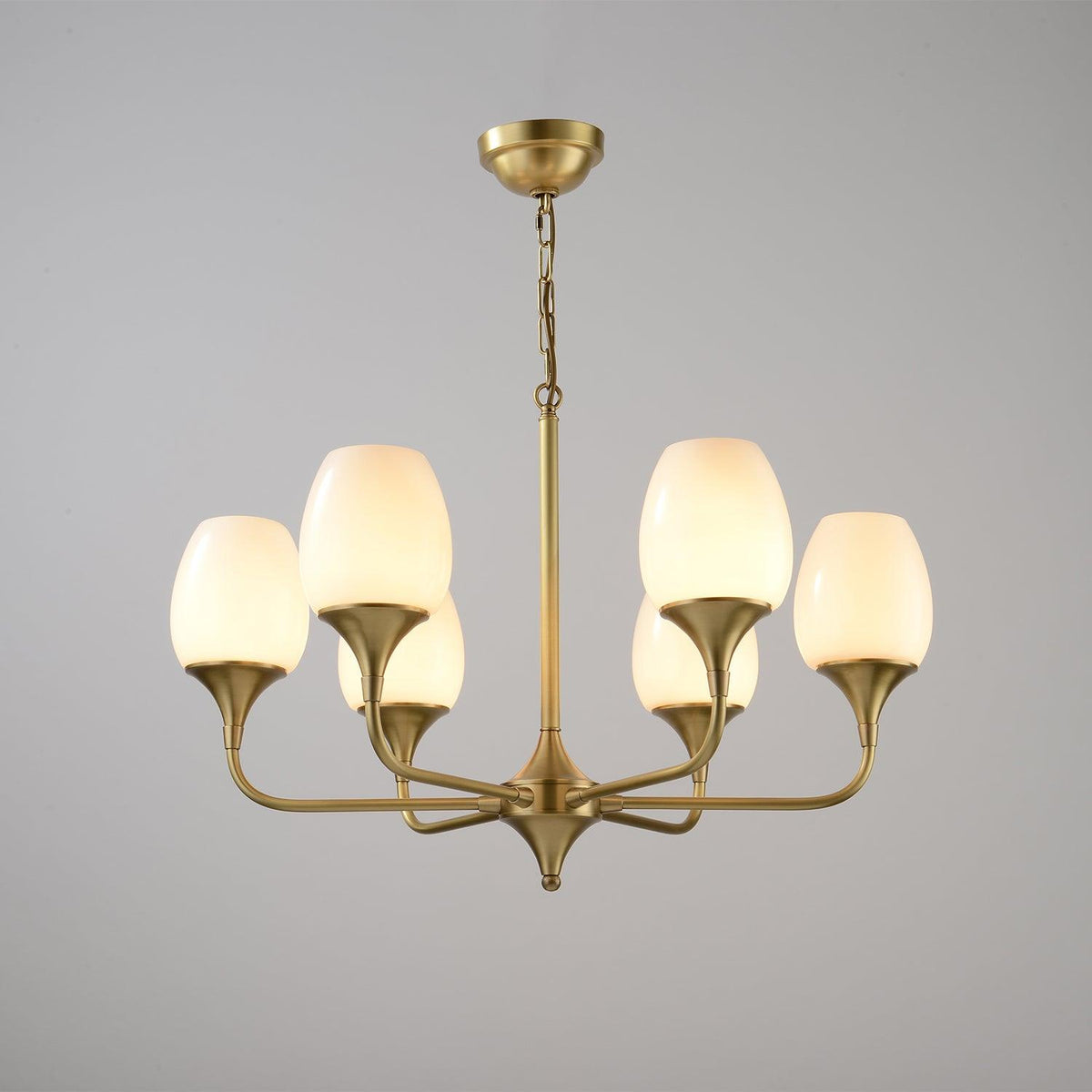 Charlie Eight-Light Brass Chandelier with Glass Shades for Dining and Living Rooms