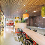 Chouchin Pendant Light